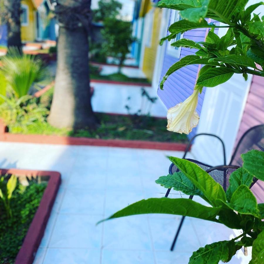 Cuba Beach Hotel Side Kültér fotó